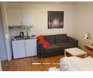 Et opholdsområde på Hybelleilighet 4 pers ski-VM 2025