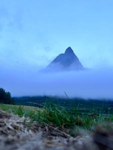 Naturlandskabet i nærheden af lejligheden