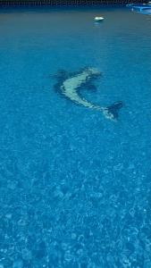 Gallery image of Villa Rosal in Rincón de la Victoria