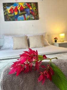 Fotografie z fotogalerie ubytování Casa VIP II v destinaci Puyo