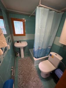 a bathroom with a toilet and a sink and a shower at Будиночок Мойсейчуків in Krivorovnya