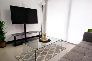 Μια τηλεόραση ή/και κέντρο ψυχαγωγίας στο Urban oasis, nature and comfort in the city