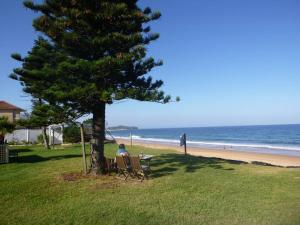 Fotografie z fotogalerie ubytování Spacious 2BR Beachfront Apartment - The Coachhouse v destinaci Narrabeen