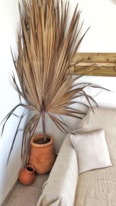 Fotografie z fotogalerie ubytování Ô coin des baleines v destinaci Étang-Salé les Bains + 8 fotografií