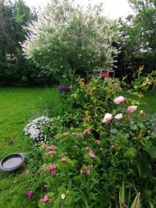 Billede fra billedgalleriet på Chambre chez l habitant avec petit déjeuner i Moussy-le-Vieux + 10 billeder