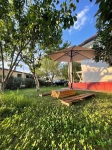 a picnic table with an umbrella in a yard at Riza Guest House in Pukë +8 photos