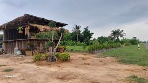 ภาพในคลังภาพของ ทุ่งนากางเต้นท์ Countryside ในBan Boi