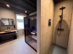 a bathroom with a shower and a sink at VILLA am Paulsberg mit Sauna - V4 in Braunlage +13 photos
