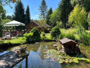 a garden with a pond with a bird house and a bridge at VILLA am Paulsberg mit Sauna - V4 in Braunlage