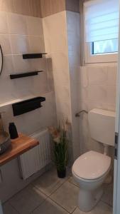 a bathroom with a white toilet and a window at Ferienhaus Zum Birkenwäldchen in Kützkow +20 photos