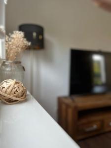 TV a/nebo společenská místnost v ubytování Ferienwohnung im Thüringer Wald + 12 fotografií