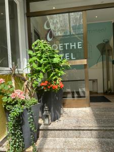 Exteriér nebo vchod ubytování Goethe Hotel