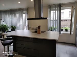 ストラスブールにあるMurat appartement 3 piecesの窓付きの客室で、大きな島のあるキッチンが備わります。