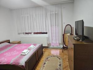 a bedroom with a bed and a tv and a mirror at Apartmani,,Drljaca,,1 in Soko Banja