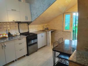 Kuchyň nebo kuchyňský kout v ubytování Guest house lia