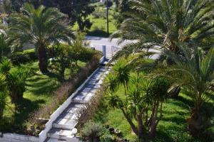 Κήπος έξω από το Petasos Apartments 2