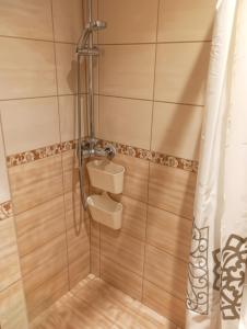 クライペダにあるLuize Cosy Apartmentのシャワー(シンク、シャワーカーテン付)