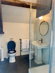 a bathroom with a blue toilet and a sink at Loft Maison Fluide in Aigues-Mortes +7 photos