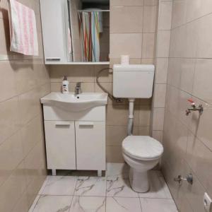 a bathroom with a toilet and a sink at Vikendica Maksim, Zelinje - Zvornicko jezero in Zvornik