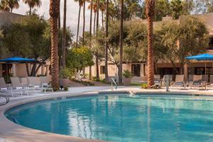 The Scottsdale Resort & Spa, Curio Collection by Hilton内部或周边的泳池