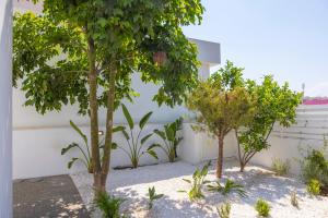a group of trees in front of a white wall at SunnyVillas-3BR New Modern Villa-Private Pool-HVN in Paralimni