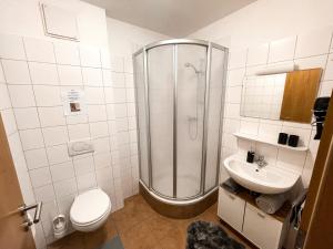 a bathroom with a shower and a toilet and a sink at Apartment Alpzbase in Kaprun +11 photos