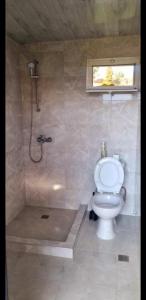 un bagno con wc e doccia con finestra di Natalie's House a Kobuleti