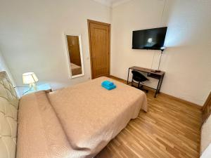 a bedroom with a bed and a desk with a television at Rooms Argo in Barcelona