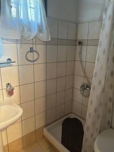 un bagno con doccia, lavandino e vasca di Οξυγόνο Πέτρινο εξοχικό στη Βυζίτσα Πηλίου a Vizitsa