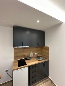 Kuchyň nebo kuchyňský kout v ubytování IO's Apartments