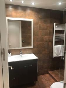a bathroom with a sink and a mirror at Acogedor apartamento en pleno centro in Puigcerdà