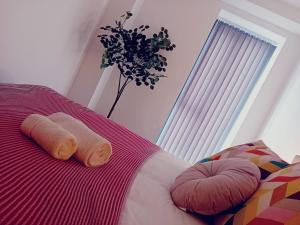 Postel nebo postele na pokoji v ubytování City Centre Apartments, Free Parking - Quality City