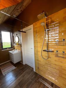 a bathroom with a shower and a sink at Warmińska Sielanka in Blanki +174 photos