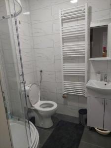 Koupelna v ubytování Apartman Pavle