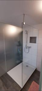 a shower with a glass door in a bathroom at Andreas Zugspitzblick in Murnau am Staffelsee +11 photos