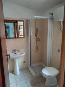 a bathroom with a shower and a toilet and a sink at casa vacanza Teresa 2 in Vieste