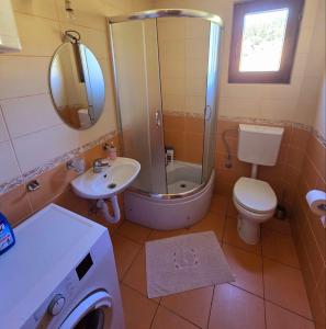 une salle de bain avec un lavabo, des toilettes et une douche dans l'établissement Enchanting chalet amidst impressive nature, à Žabljak