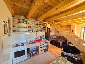 une cuisine avec des appareils blancs et un plafond en bois dans l'établissement Enchanting chalet amidst impressive nature, à Žabljak 18 autres photos