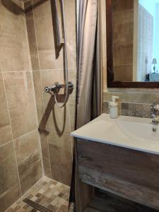 un baño con ducha y lavabo en Le Cerisier, en Mareil-Marly