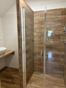 Koupelna v ubytování Apartmán pod Pálavou + 28 fotografií