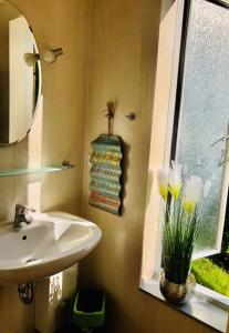 een badkamer met een wastafel en een raam met bloemen bij OstseeFreiheit in Bodstedt +35 foto's
