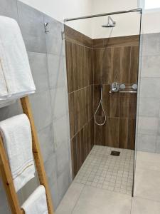 a shower with a glass door in a bathroom at La casa dei Coloni in Nola +54 photos