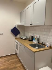 Kuchyň nebo kuchyňský kout v ubytování Apartmán pod Pálavou