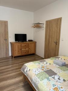 TV a/nebo společenská místnost v ubytování Apartmán pod Pálavou