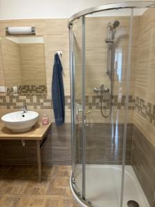 Koupelna v ubytování Apartmán pod Pálavou
