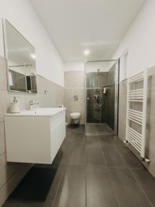 a bathroom with a sink and a shower and a toilet at Marcos Apartments Victoriei - self check-in in Reşiţa