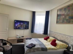TV a/nebo společenská místnost v ubytování Arthaus Rönök