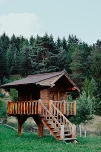 Una pequeña cabaña de troncos con una escalera de madera en un campo. en Cabana Ursilor, en Vama