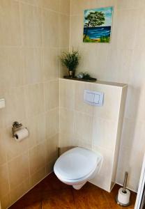 een badkamer met een toilet met een plant aan de muur bij OstseeFreiheit in Bodstedt