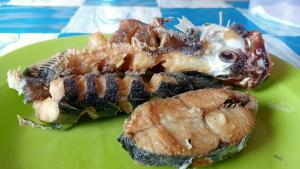 a green plate with a sandwich and a waffleasy at Risen Raja Ampat in Pulau Birie +53 photos